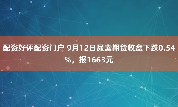 配资好评配资门户 9月12日尿素期货收盘下跌0.54%，报1663元
