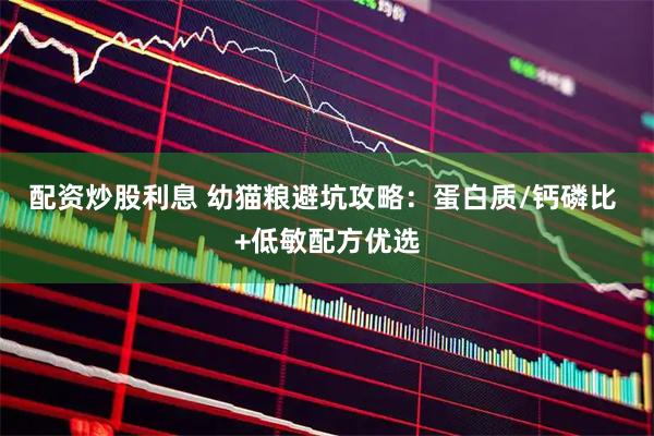 配资炒股利息 幼猫粮避坑攻略：蛋白质/钙磷比 +低敏配方优选