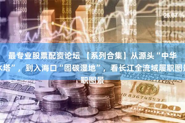 最专业股票配资论坛 【系列合集】从源头“中华水塔”，到入海口“固碳湿地”，看长江全流域履职图景